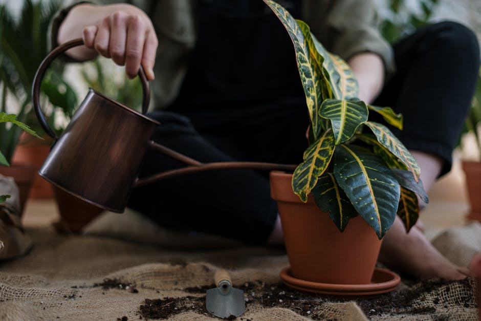 Eco-friendly pest control solutions protecting homes naturally